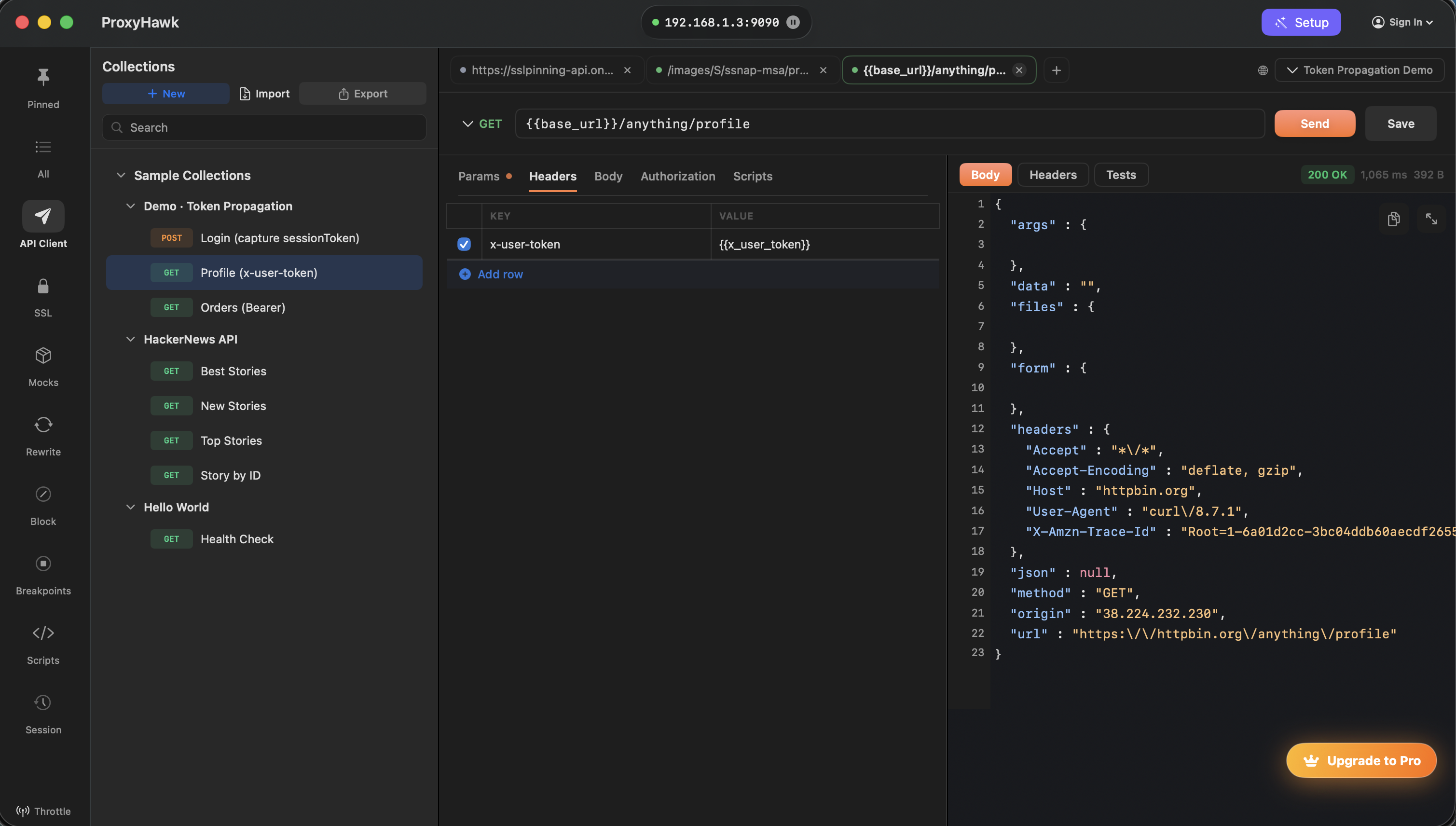 ProxyHawk API Client: collections sidebar, request tab, GET with URL bar, Headers editor, Send button, and JSON response with status 200.